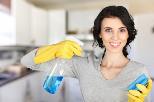 Local rug cleaning process for stain and dust removal