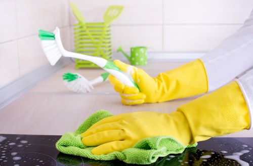 Regular house cleaning for kitchens and bathrooms in TW13
