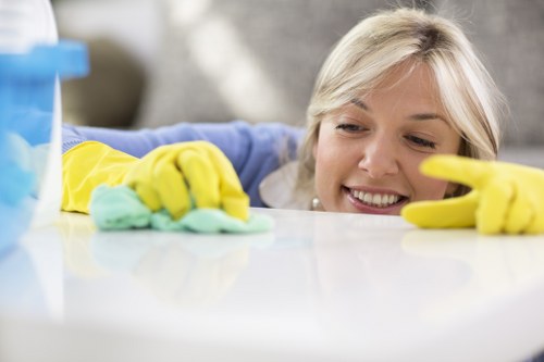 Thorough local cleaning visit for flats, houses, and workspaces in TW13