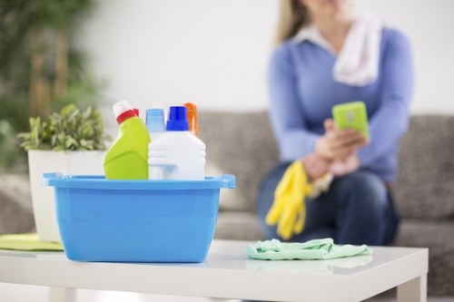 Reviewing details of a carpet cleaning service issue