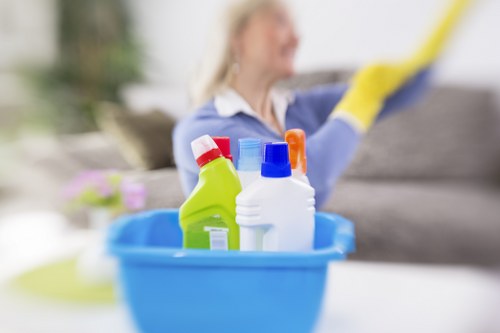 Local cleaner working in a TW13 flat or apartment