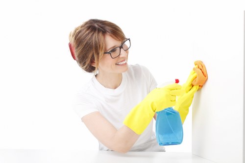 Carpet cleaning process in a busy TW13 property