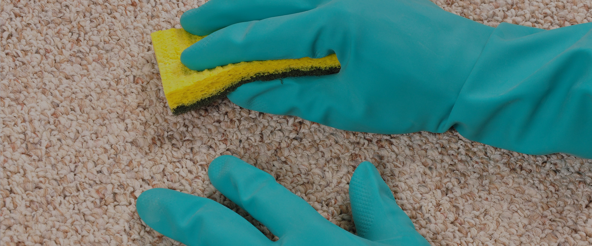 Carpet Cleaning TW13